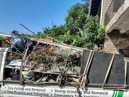 Junk Removal for Events in Mango, FL